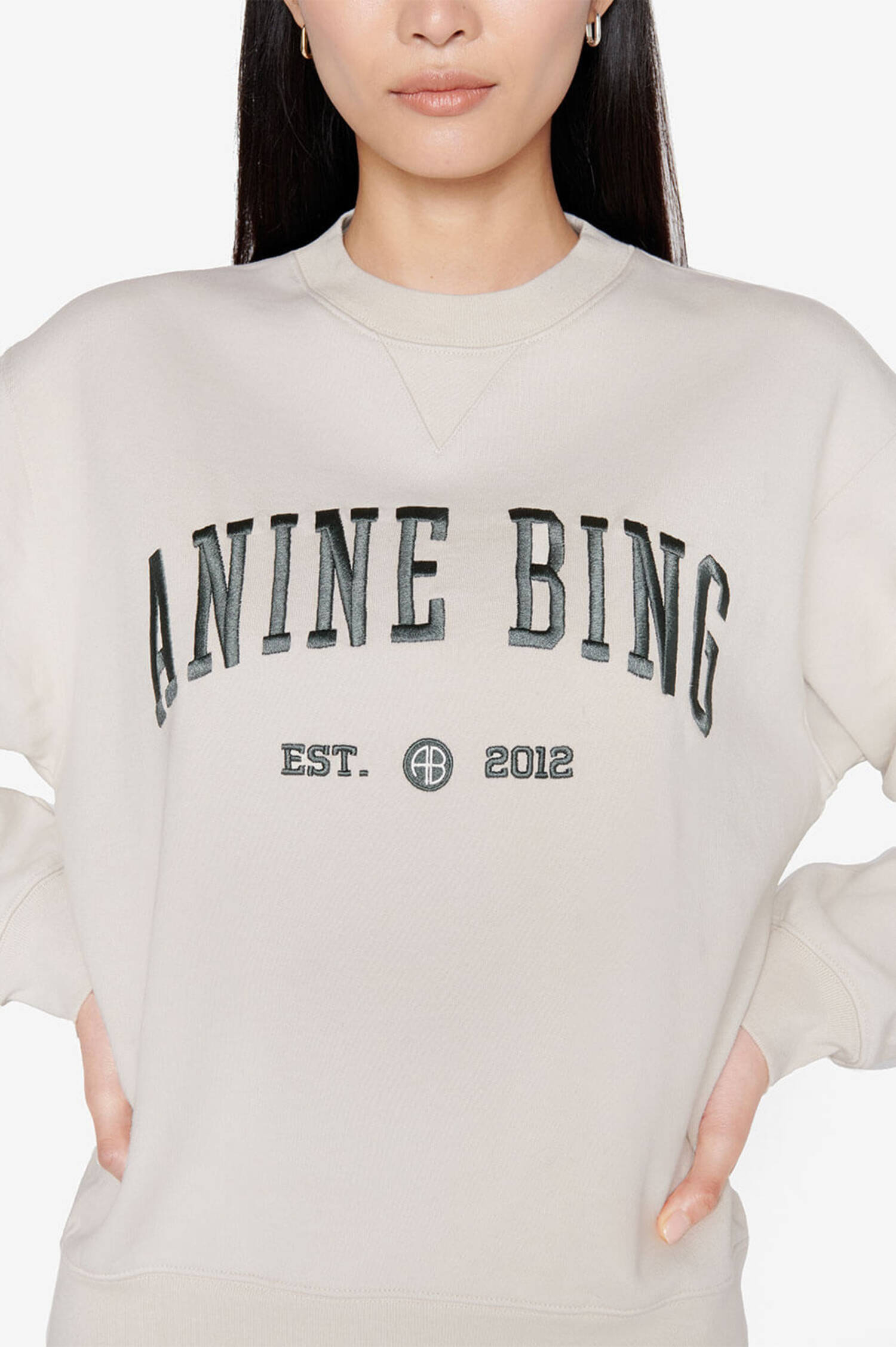 Anine outlet Bing Dessert Roads Sweatshirt NWOT